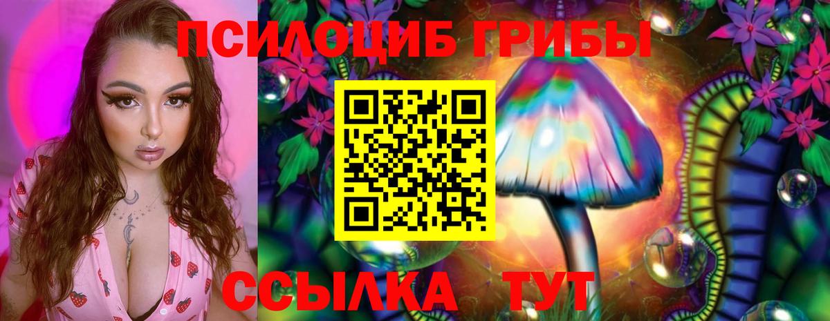 Галлюциногенные грибы MAGIC MUSHROOMS Железноводск