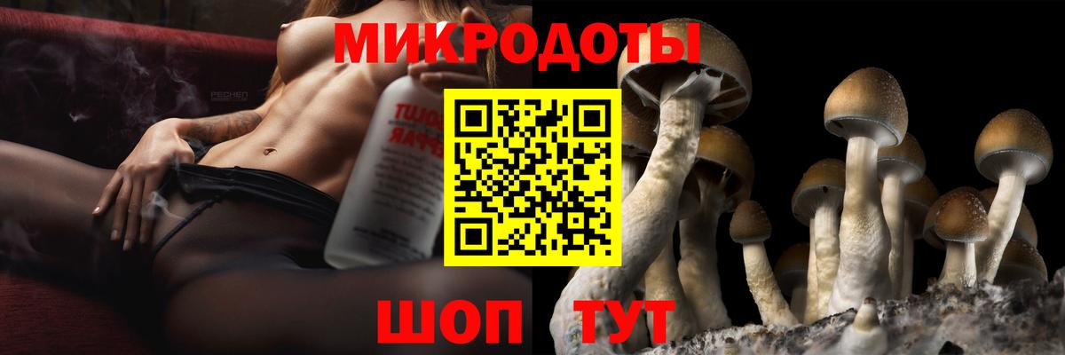 Железноводск  Псилоцибиновые грибы Cubensis  Вход с VPN  Галлюциногенные грибы Psilocybe 